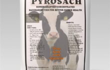 imnp pyrosach