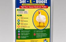 imnp sel e boost