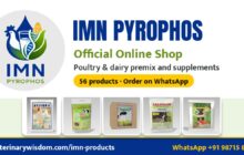 imnp shop banner