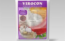 Ranikhet Disease / Newcastle Disease - ND in Poultry imnp virocon