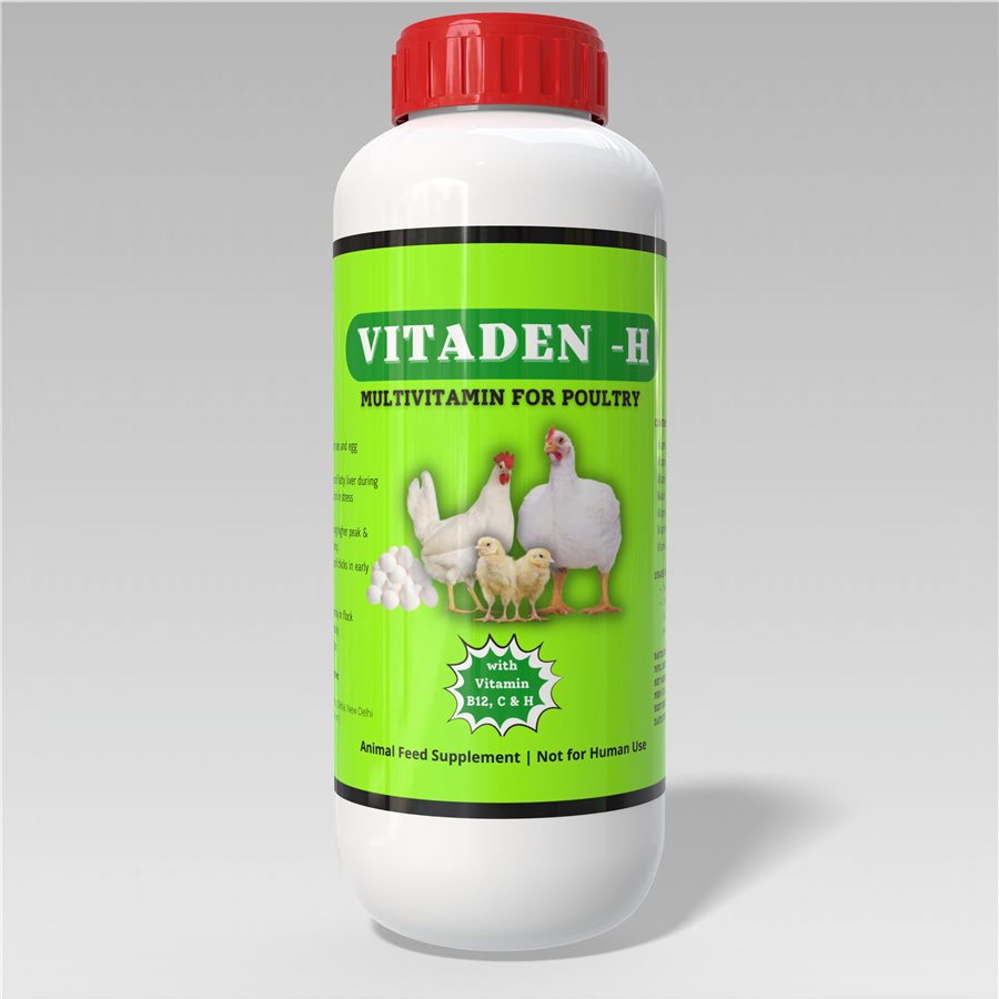 Vitaden H – Multivitamin for Poultry | IMN Pyrophos Vitaden H IMN Pyrophos
