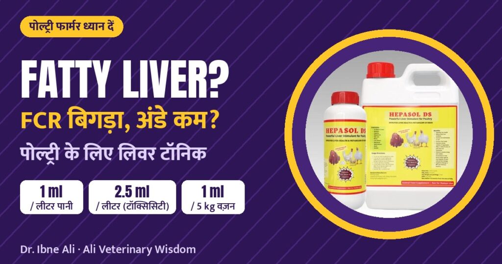 Fatty liver ya FCR kharab? Poultry ke liye liver tonic Hepasol DS: matra aur istemal