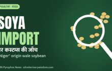 Soybean import par customs jaanch: soya DOC aur poultry daane ka daam