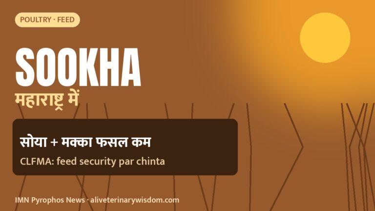 Feed makers' body CLFMA warns on feed security after Maharashtra drought