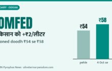 OMFED Milk Price Hike: Toned Milk Now ₹58/Litre in Odisha After ₹2 Farmer Rate Rise (Oct 2026) OMFED milk price hike: Odisha me toned doodh ₹58 litre, kisan ko ₹2 zyada