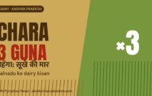 Fodder shortage: Palnadu ke dairy kisan ke liye sookhe me chaara teen guna mehenga