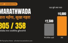 Marathwada chaara sankat: jowar kadbi 100 bundle ₹4,000, sookhe me pashupalak pareshan