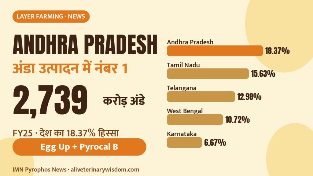 Andhra Pradesh number one in egg production: 2,739 crore eggs in FY25, with top five states by share