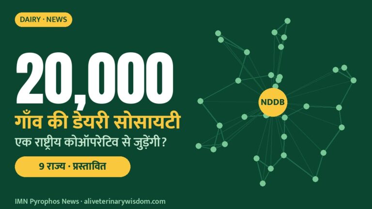 News 1026 N1 Nddb 768x432