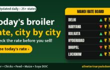 Today's broiler rate city by city