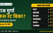 आज का ब्रॉयलर रेट आज का ब्रॉयलर रेट