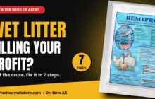 Wet Litter and Loose Droppings in Broilers in Winter: Causes and 7 Fixes Wet litter killing your profit? 7 fixes for broilers in winter
